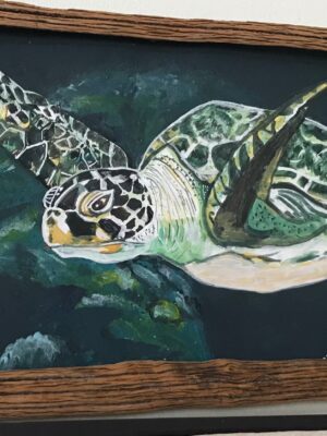 434857256_122135912246151911_6784831916812055729_n