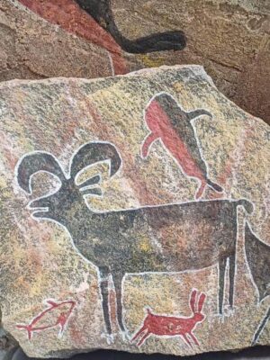 435159642_122138533406151911_4565484924830773208_n