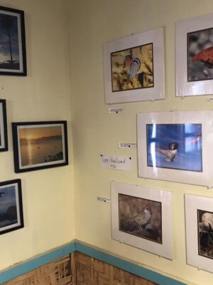 435166696_122138533262151911_4629698471775766482_n