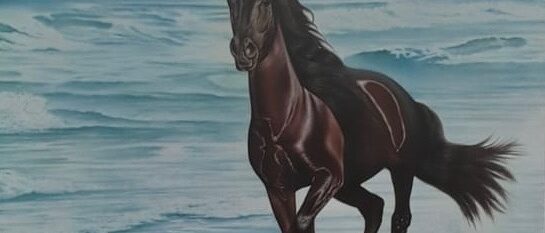 7ba28ac6-e062-469e-9e19-edf0a83dc1c3